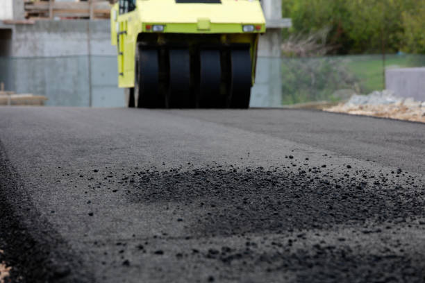 Best Driveway Paving Near Me  in Cortland West, NY