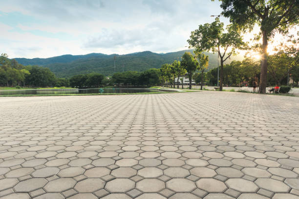 Best Professional Driveway Pavers  in Cortland West, NY